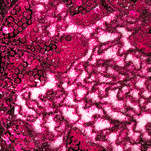 Load image into Gallery viewer, Blooming Sequin Lace Fabric- 5 Colors
