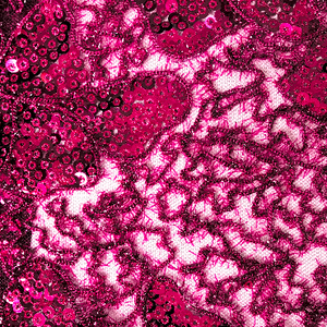 Blooming Sequin Lace Fabric- 5 Colors
