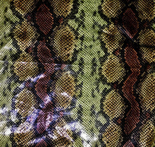 Load image into Gallery viewer, Python snake print faux vegan leather 5 Colors Available
