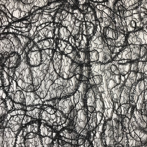 Black Floral Beaded Lace fabric